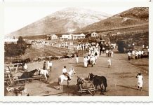 아리 샤비트, 『약속의 땅 이스라엘』.